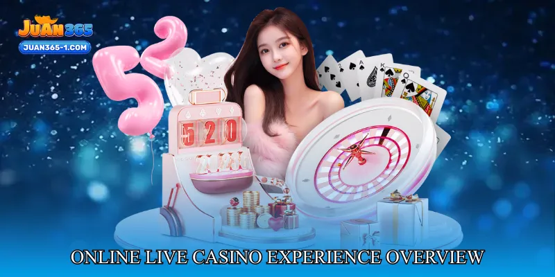 Online Live Casino Experience Overview