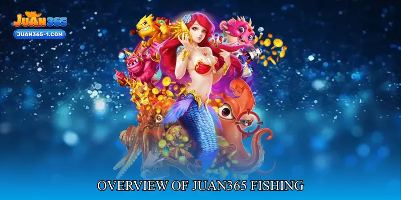 Overview Of Juan365 Fishing