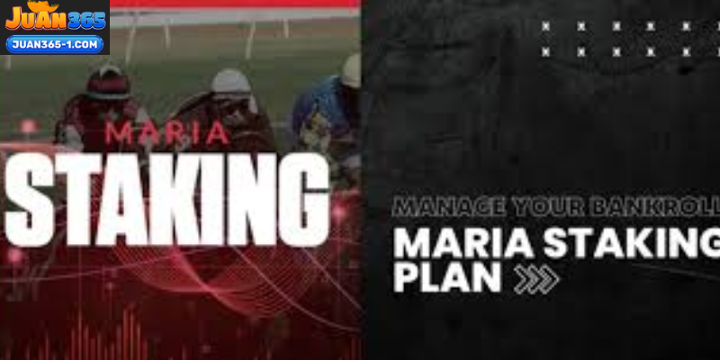 Bankroll Planning Strategy